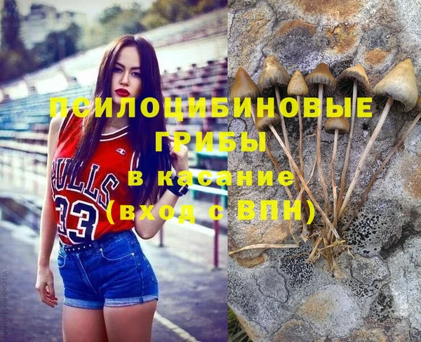 винт Надым