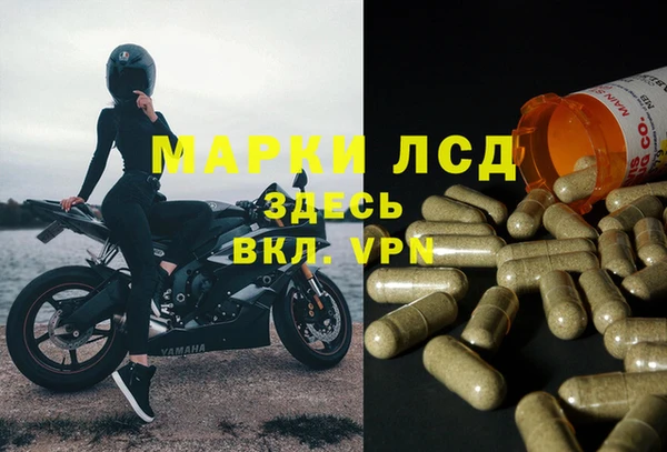винт Надым