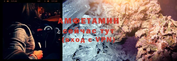 прущие грибы Абаза